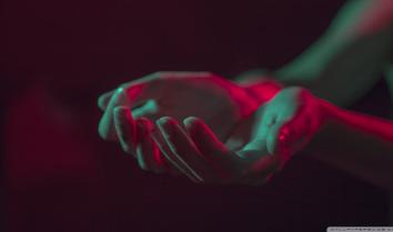 Böceksoft Test Villası