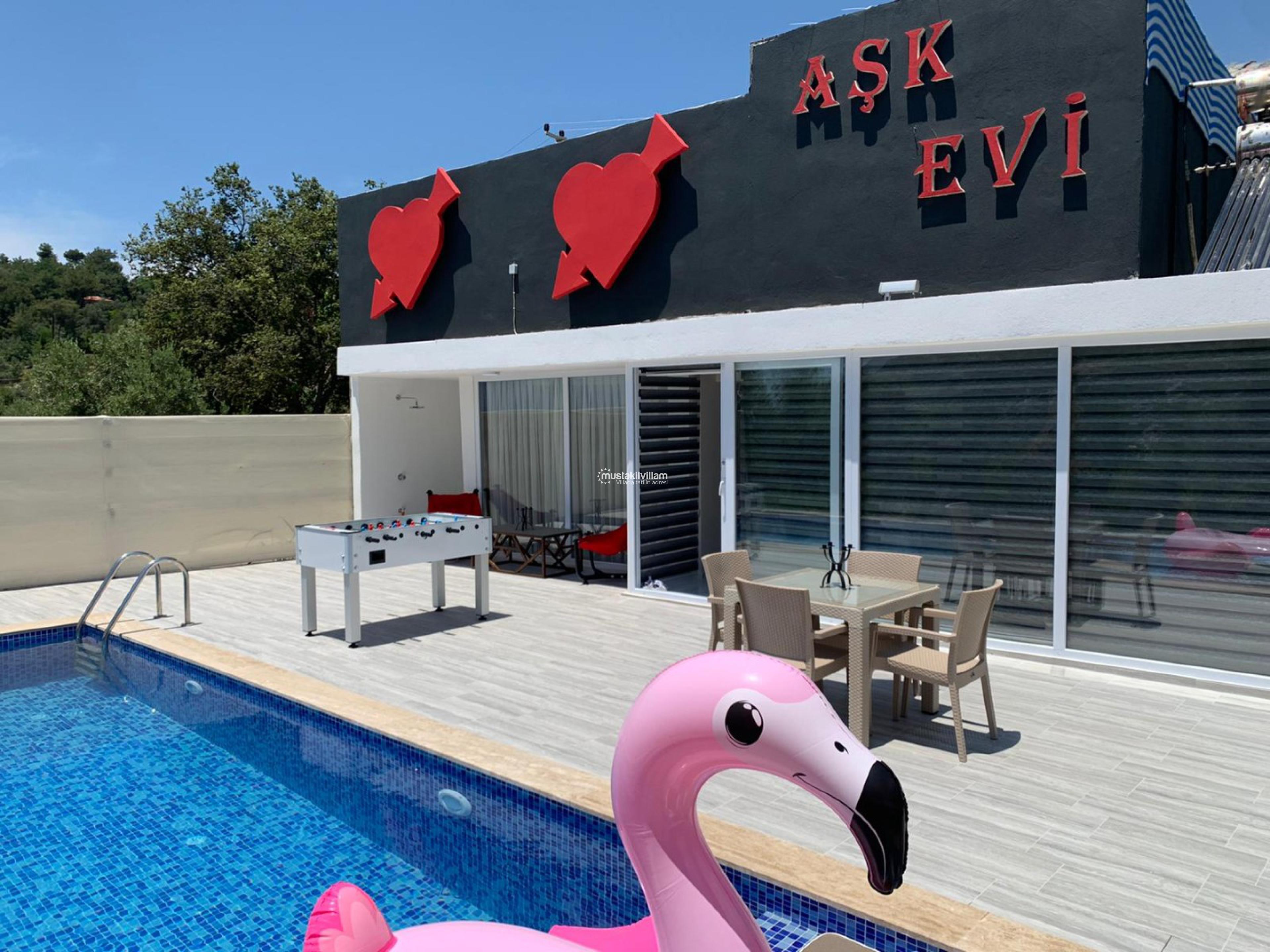 ask-evi-12_132.jpeg