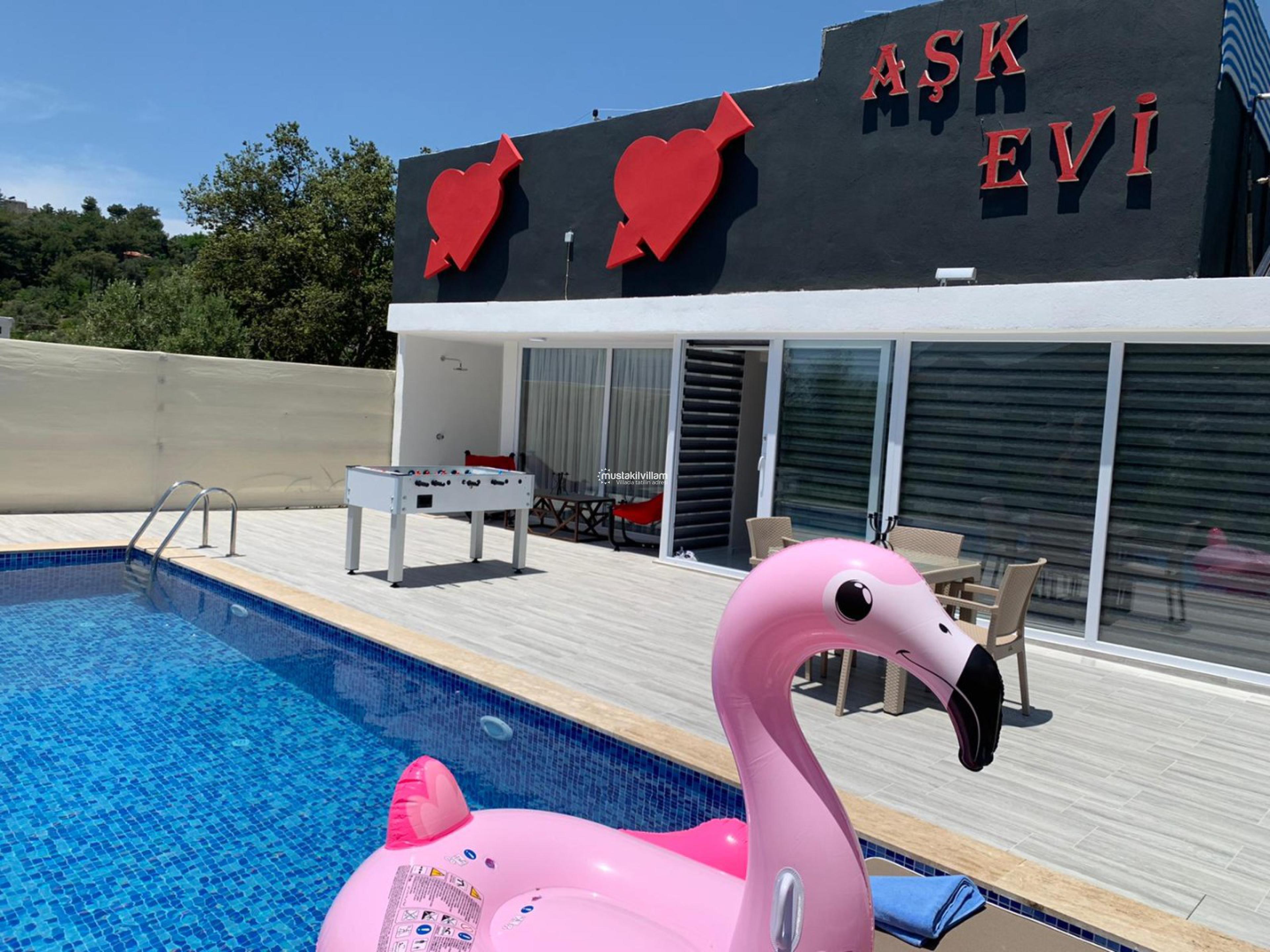 ask-evi-6_61.jpeg