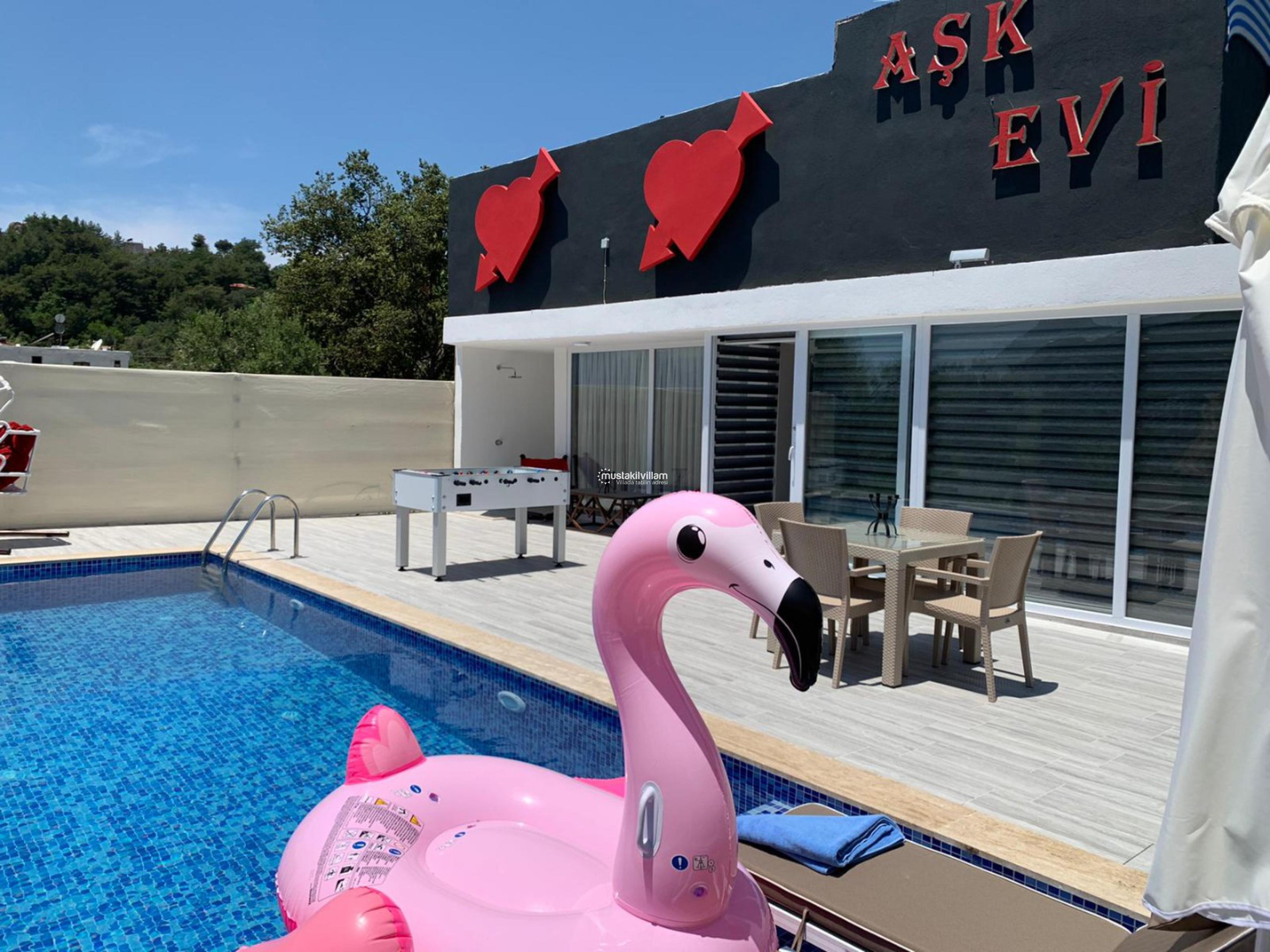 ask-evi-9_764.jpeg