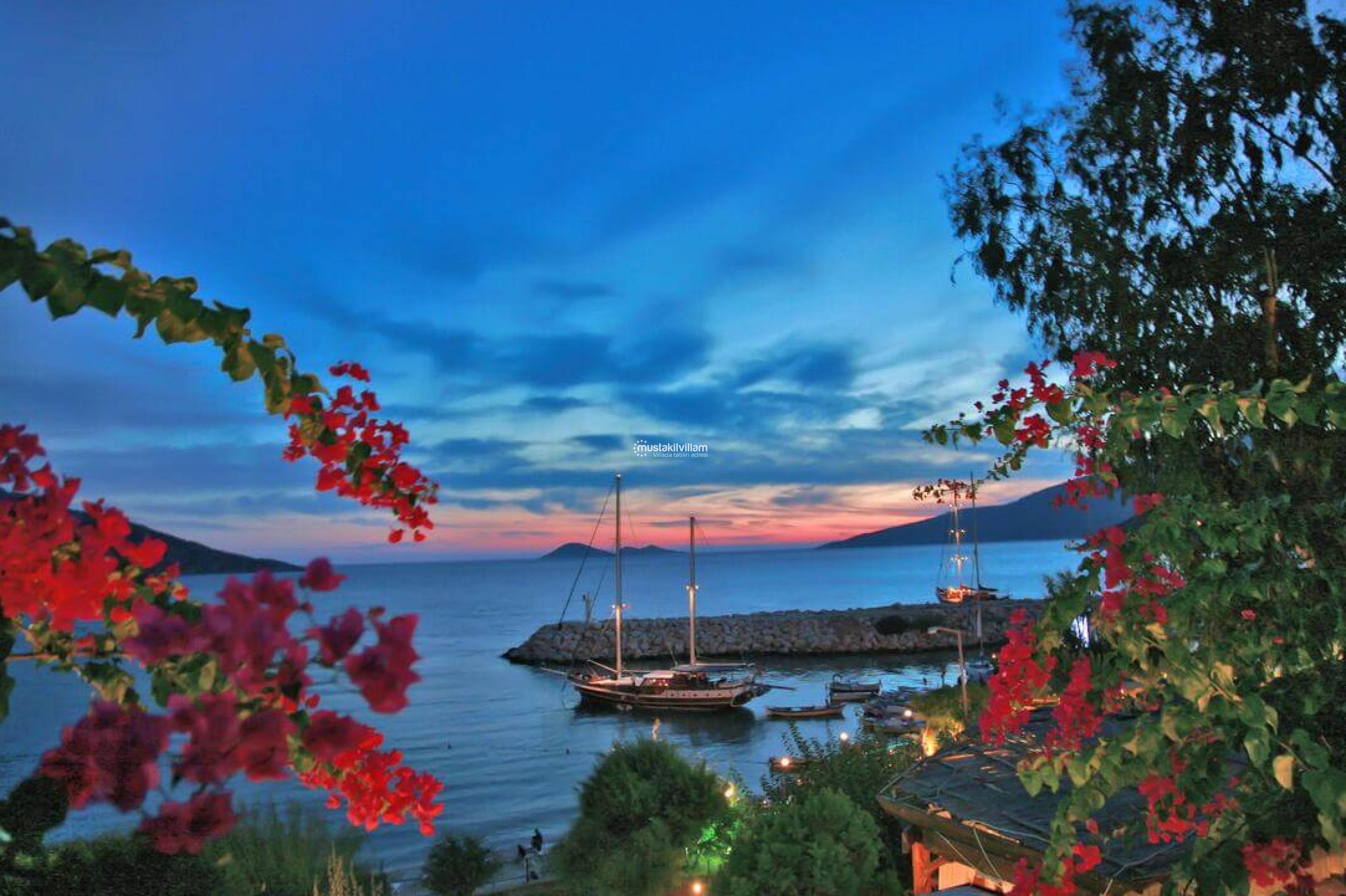 Turkuaz Kaş