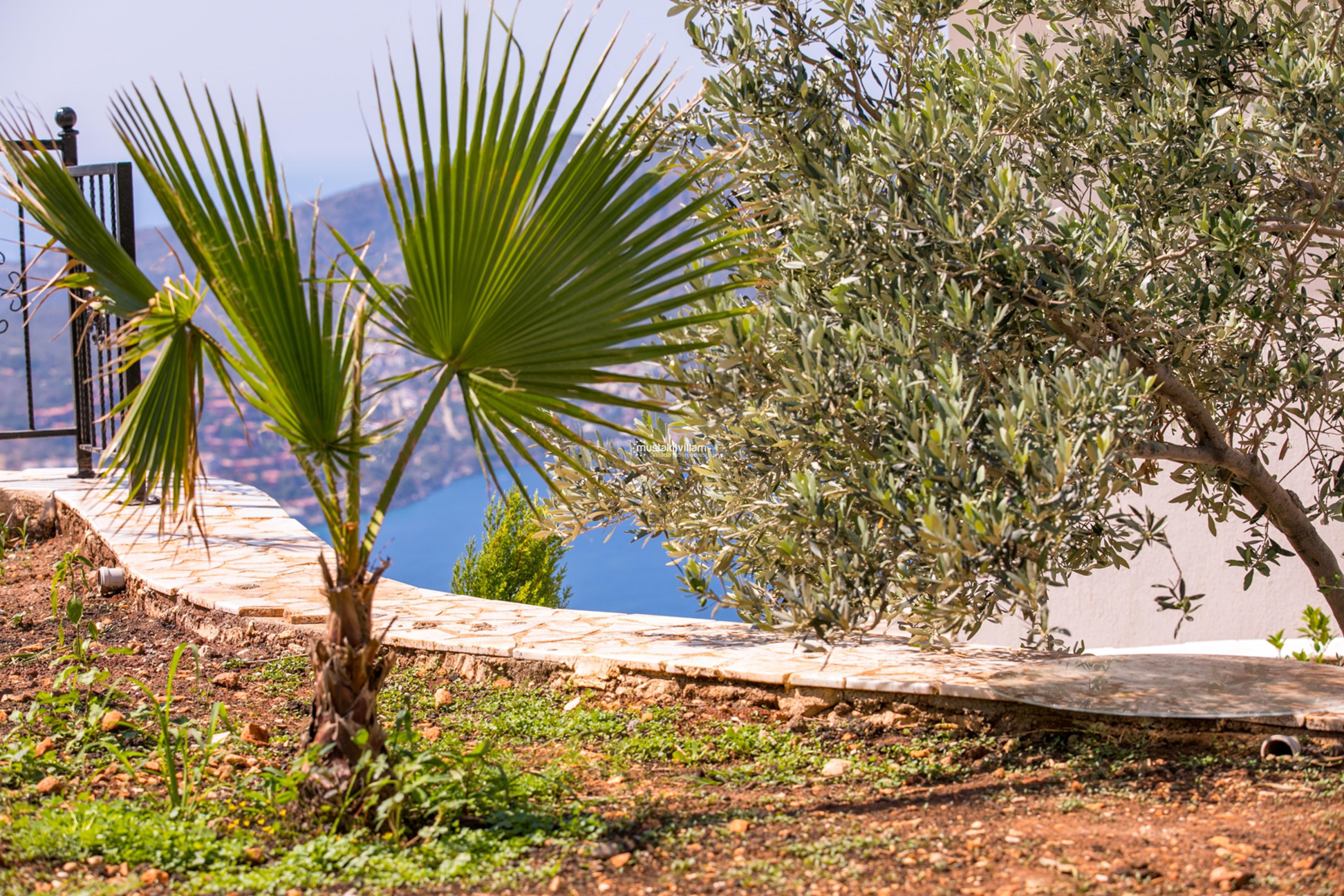 villa-antik-hill017_493.jpg